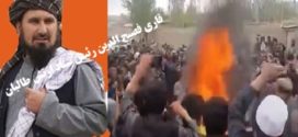 تظاهرات علیه طالبان موقوف !