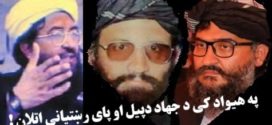 دشاهی کوټ حماسه ،عرب جنګیالی