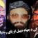 دشاهی کوټ حماسه ،عرب جنګیالی