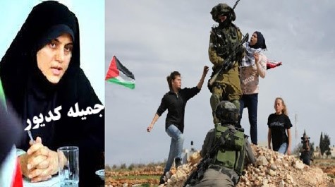 یکبسترودورویا(فلسطین واسرائیل)