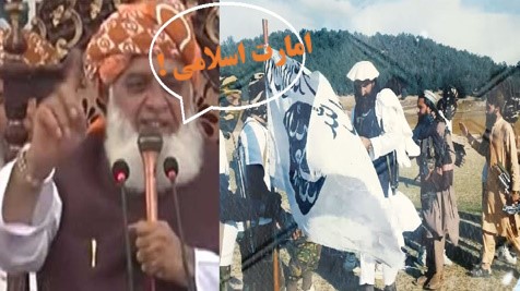 سخنان متضادفضل الرحمن معروف به ملادیزل درپارلمان پاکستان !