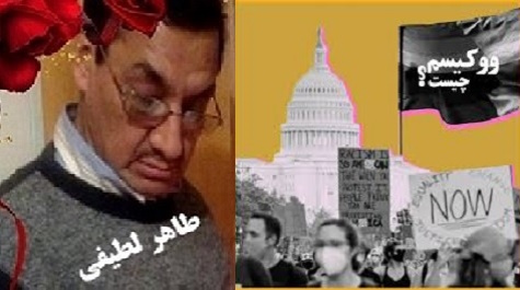ووکیسم و تابوی انسان شناسی