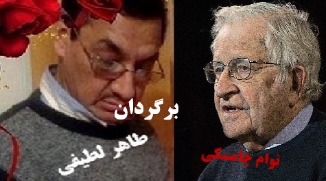 نوام چامسکی وتیوری تولیدحماقت
