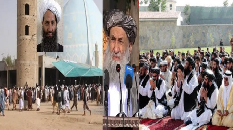 این طنزاست یاتأمین حقوق زنان؟