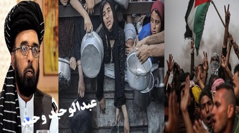 په غزه کی لوږه دجګړې پايلــــه  کـــه د سيستماتيک حذف پروژه ؟