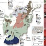 ازانگشترفروشی تاوطن فروشی ،