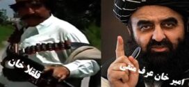 امیرخان دقلقلا خان په رول کی؟