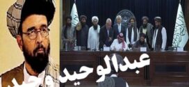له ډيلټا نړيوال شرکت سره تړون ؛فرصتـــــونه که اندېښــــنې؟