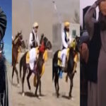 زرمت درزمونو اوشهادتونویادگار !