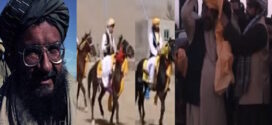 زرمت درزمونو اوشهادتونویادگار !