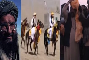 زرمت درزمونو اوشهادتونویادگار !