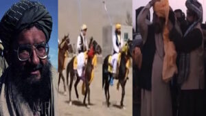 زرمت درزمونو اوشهادتونویادگار !