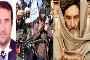 میزبانی طالبان بااهداف تروریستی!