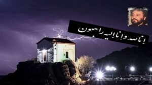 همسفری که زودرخت سفربست!
