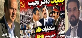 پرونده سیاسی دکترنجیب !