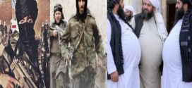 مفهوم امت وقرئت جهان وطنی ازاسلام درنظام طالبانی!