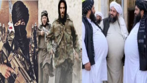 مفهوم امت وقرئت جهان وطنی ازاسلام درنظام طالبانی! مفهوم امت وقرئت جهان وطنی ازاسلام درنظام طالبانی!